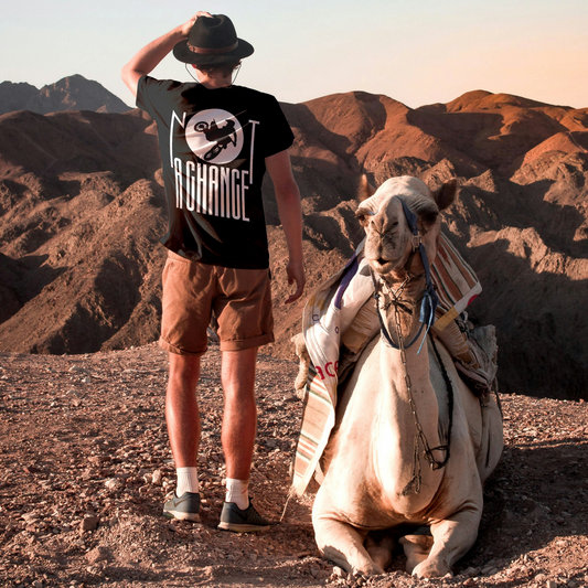 Chance Premium Classic T-shirts